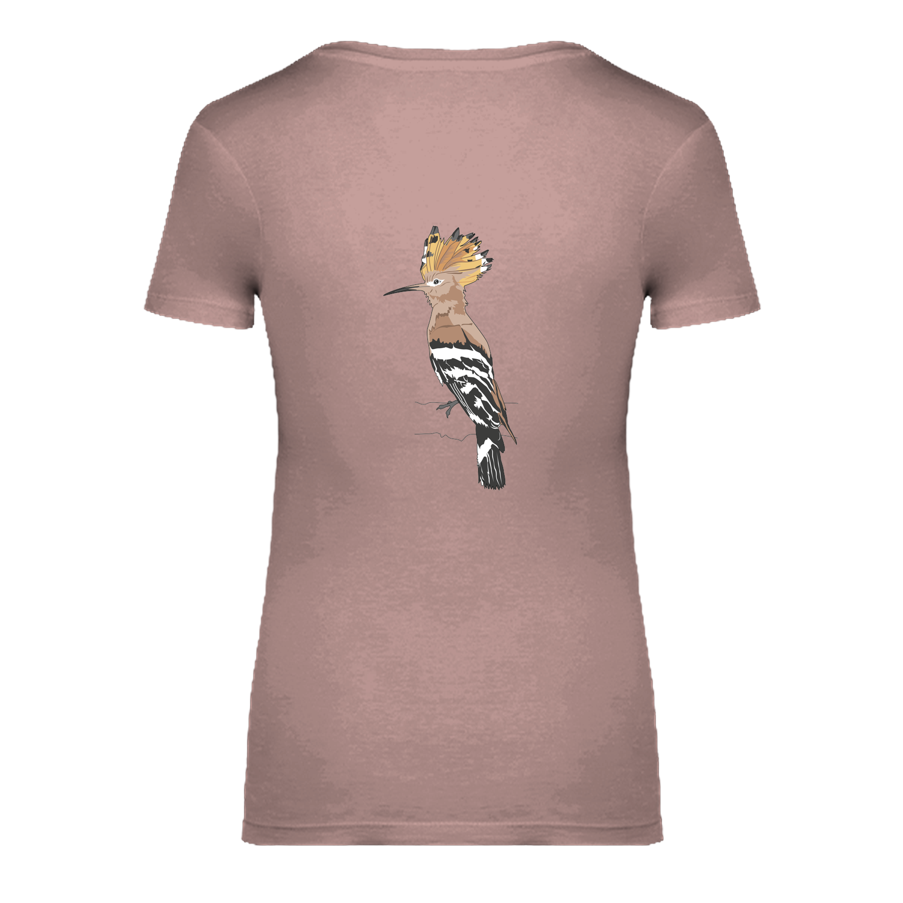 Wiedehopf Bio Frauen T-Shirt Backprint