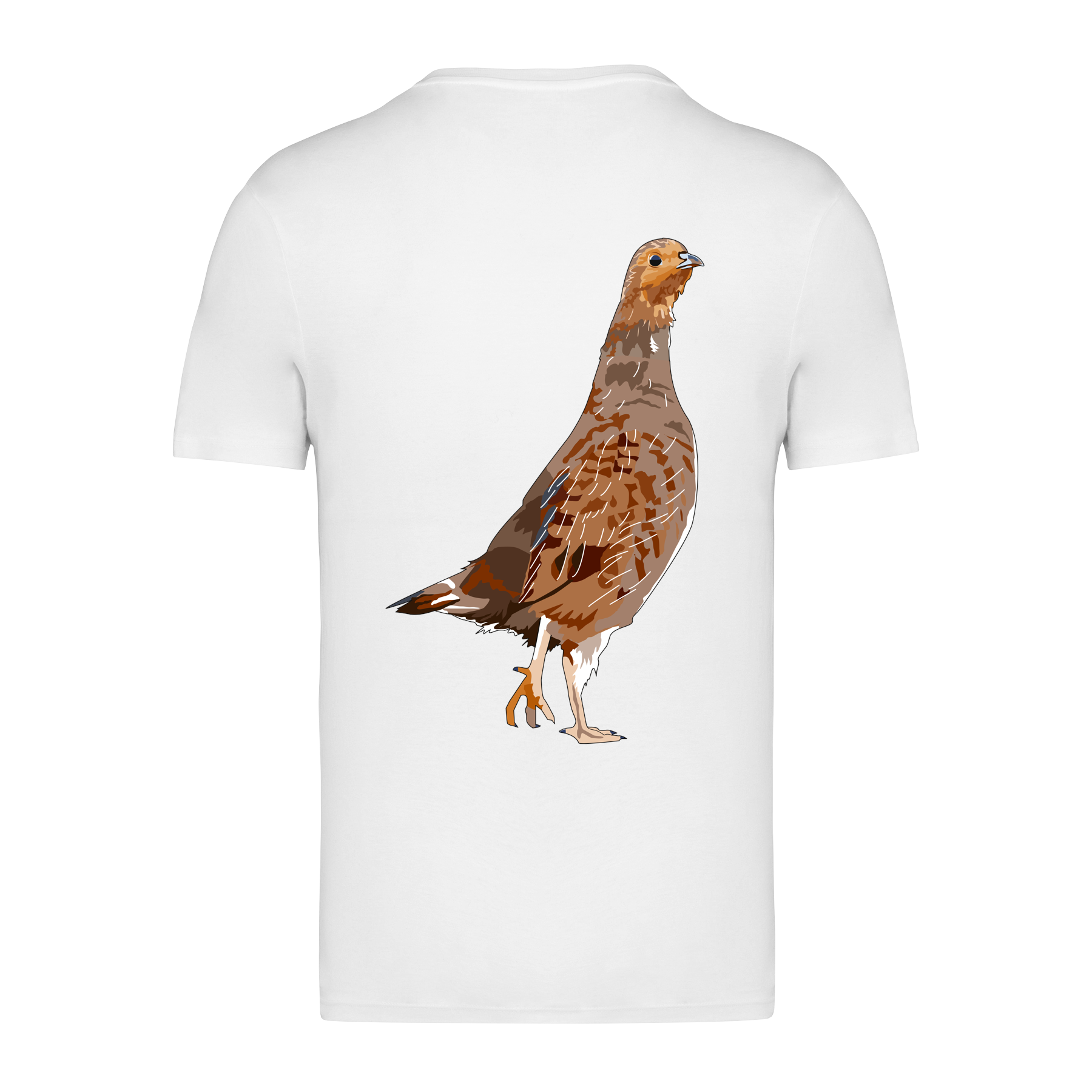 Rebhuhn Bio Männer T-Shirt Backprint