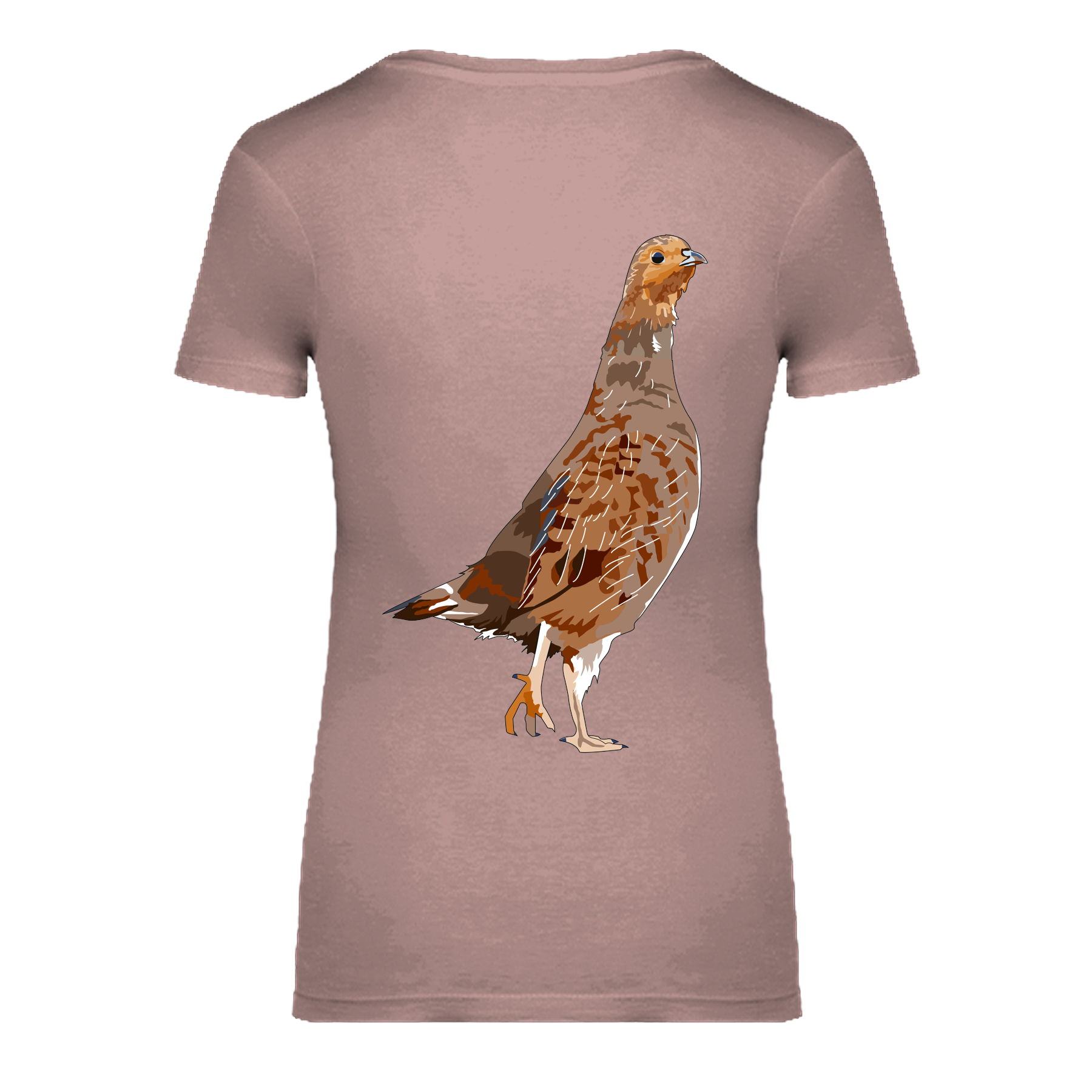 Rebhuhn Bio Frauen T-Shirt Backprint