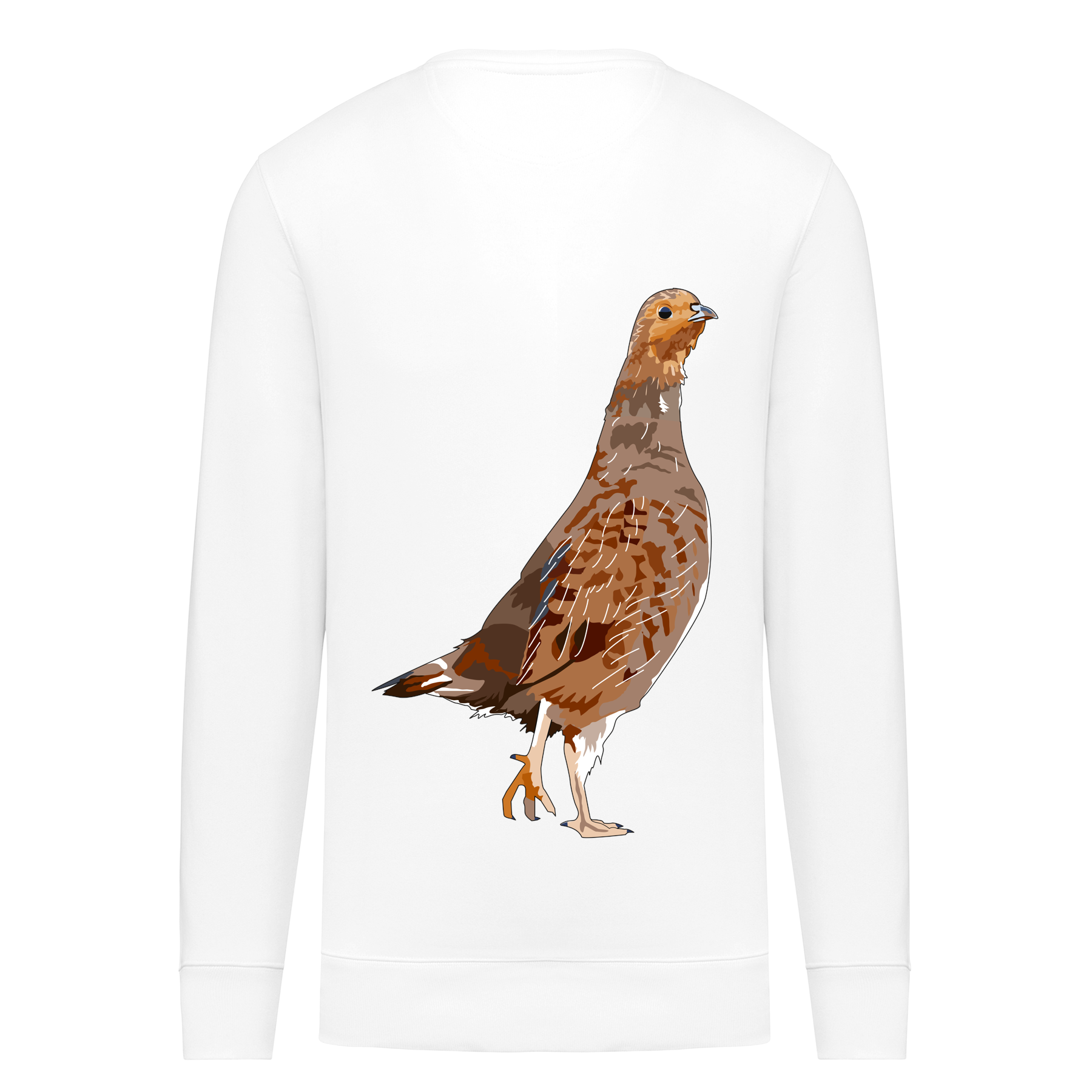 Rebhuhn Bio Unisex Sweatshirt Backprint