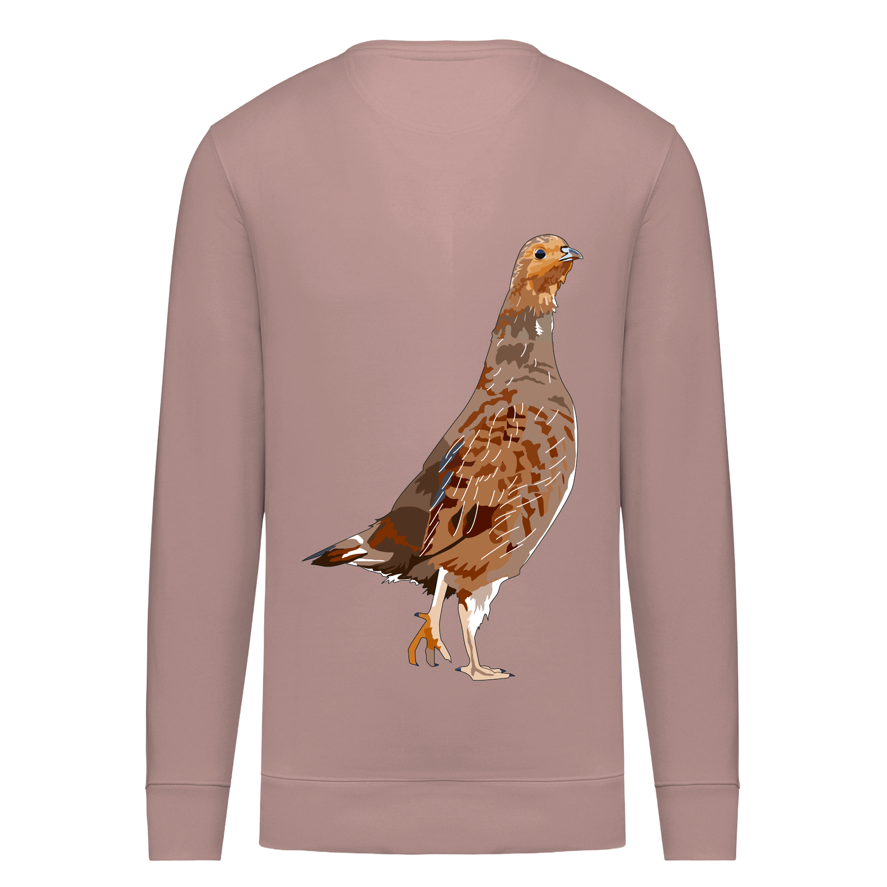 Rebhuhn Bio Unisex Sweatshirt Backprint