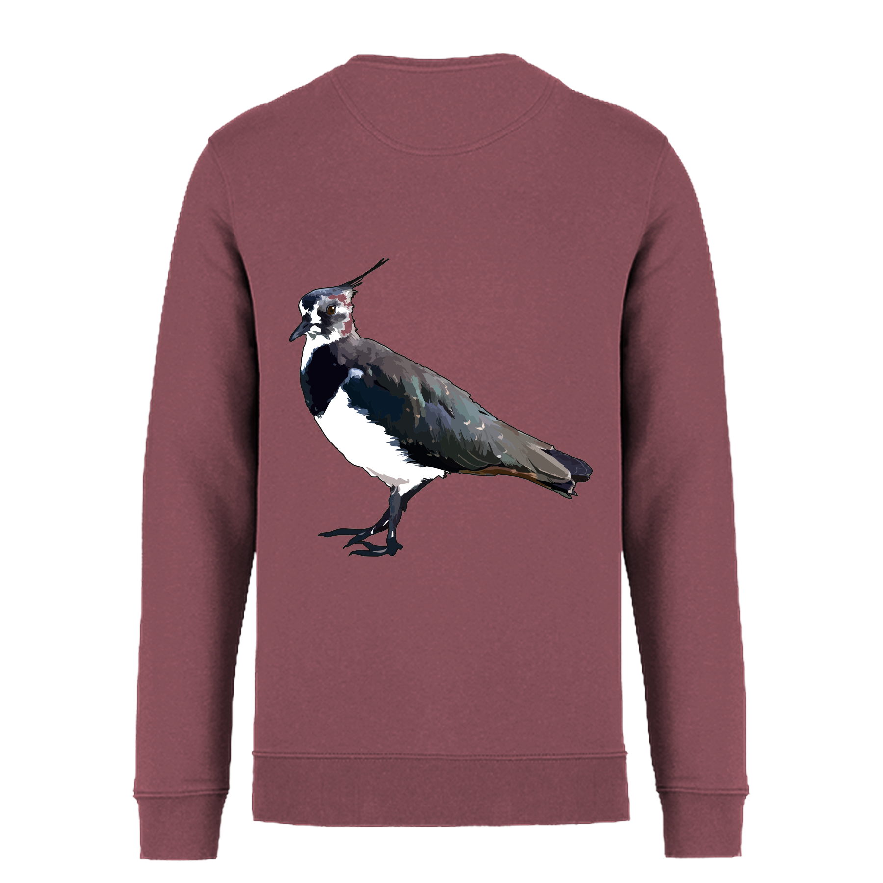 Kiebitz Bio Unisex Sweatshirt Backprint